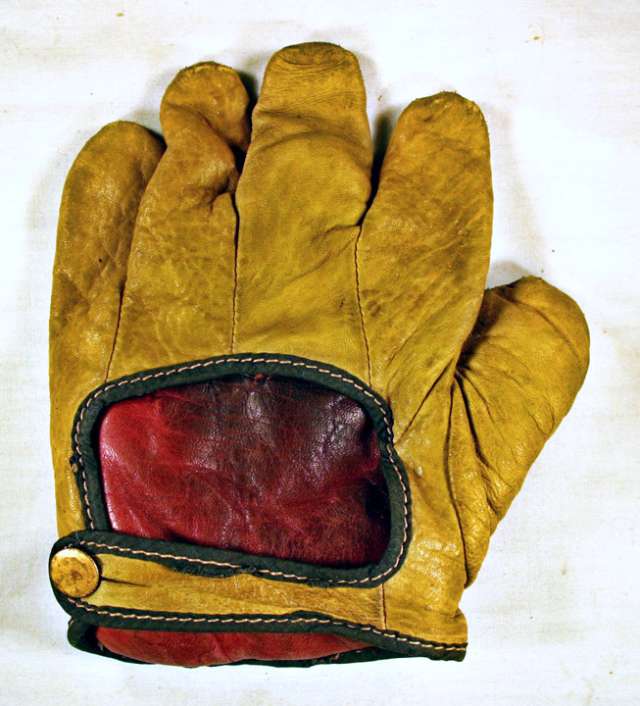 Amateur 10 1 Inch Web Back